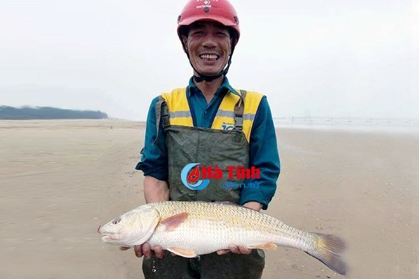 Câu được con cá sủ vàng, trả 400 triệu vẫn chưa bán