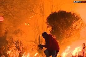 Tài xế lao vào đám cháy dữ dội để cứu chú thỏ