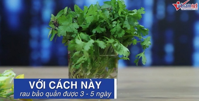 Tuyệt chiêu giúp rau thơm, măng tây, dưa chuột tươi rói ngoài tủ lạnh