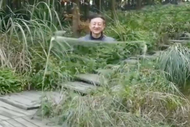 Cư dân mạng phát sốt vì 'áo choàng tàng hình'