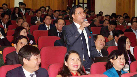 Chủ tịch huyện đề xuất làm cầu vượt cho bò đi