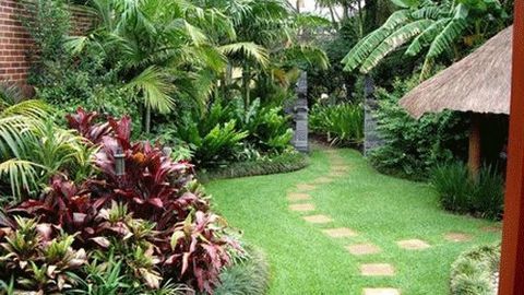 Cách trồng cây phong thủy trong vườn hút tài lộc