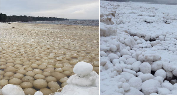 Thế giới 24h: Những khối tròn bí ẩn sát bờ biển Nga