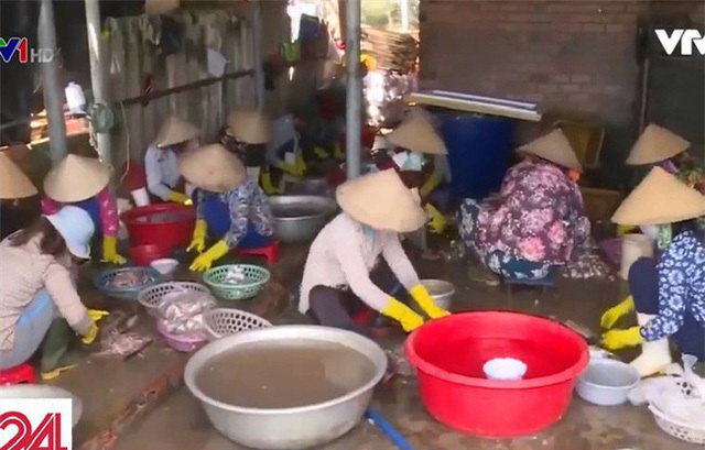 Cận cảnh quy trình ngâm cá bằng... thuốc tẩy giun động vật