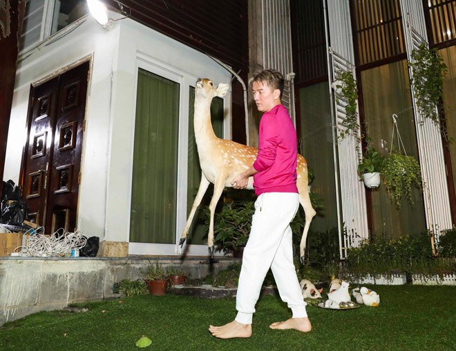 Đàm Vĩnh Hưng 'chơi lớn', trang trí Noel cho cả biệt thự triệu đô