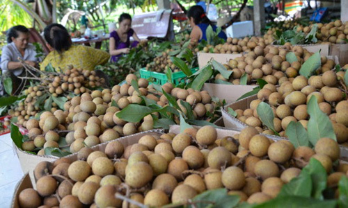 Phát triển HTX: Động viên thôi chưa đủ