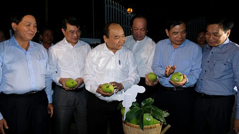 Thủ tướng thăm hội quán, 'đặc sản' của Đồng Tháp