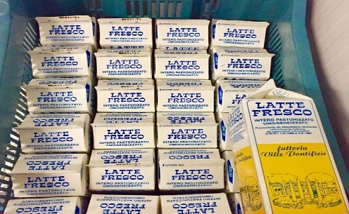 Tại sao Tòa thánh Vatican dùng sữa sơn tường?