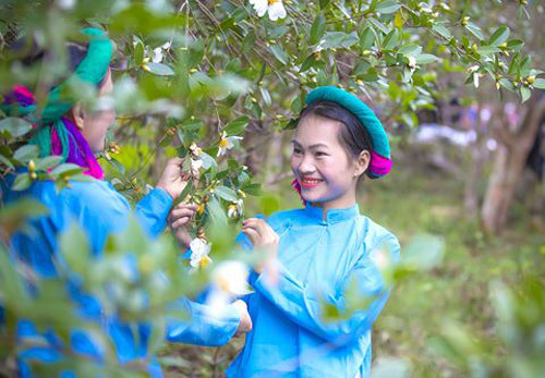 Gần vạn người trẩy hội hoa Sở Bình Liêu 2017