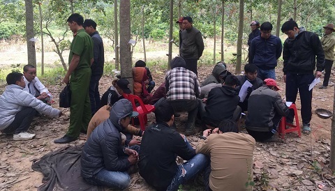 Bắt sới bạc 'khủng' trong rẫy vắng có xe đưa đón, cảnh giới