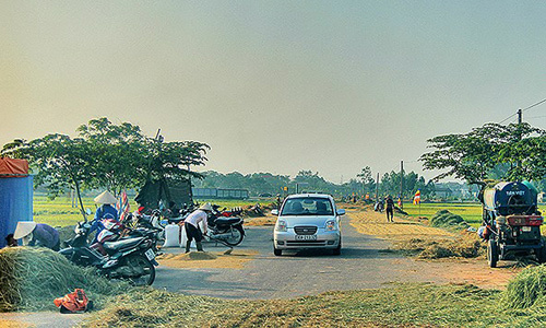 Nông thôn Việt Nam tươi đẹp