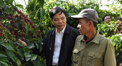 ‘Bệ đỡ’ nâng chất hạt cà phê Việt