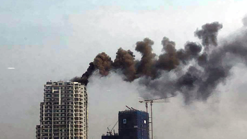 chay o hoang hoa tham