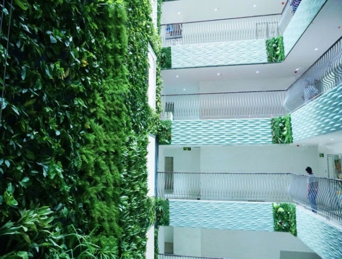 Khách Thụy Sĩ sững sờ trước vẻ đẹp bên trong Léman