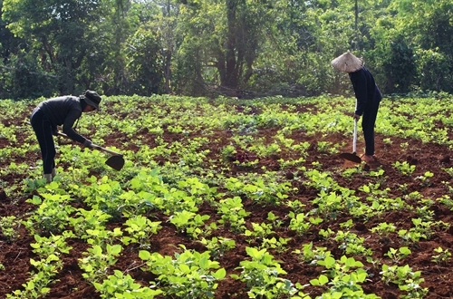 Danh sách thôn đặc biệt khó khăn vùng dân tộc thiểu số và miền núi 2016 – 2020