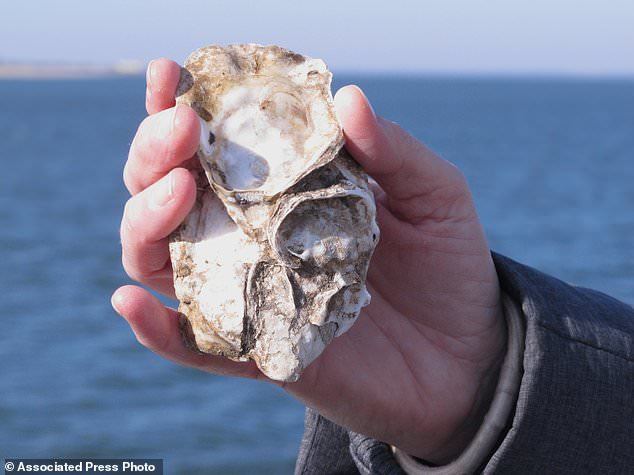 'Vũ khí' bí mật bảo vệ các căn cứ hải quân Mỹ trước bão