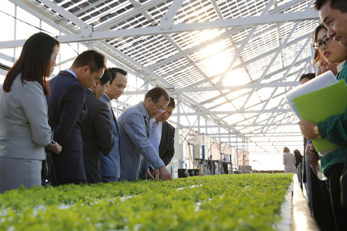 Vị đại sứ ‘mai mối’ FLC - Farmdo làm nông nghiệp
