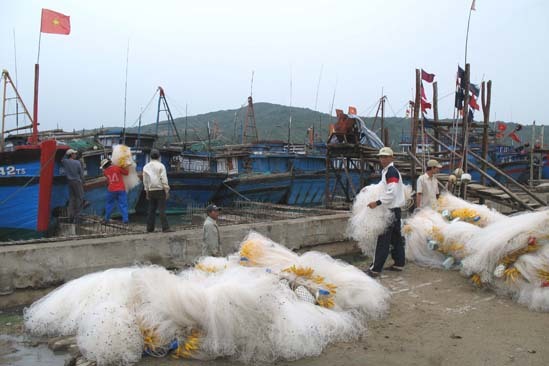 Ngư trường cạn kiệt do ngư dân đánh bắt bằng mọi giá