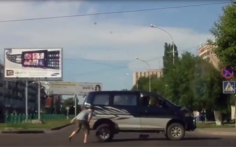 Bài học cho những ai thích dắt chó ra đường