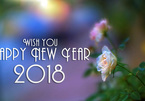 Lời chúc năm mới 2018 bằng tiếng Anh hay và ý nghĩa