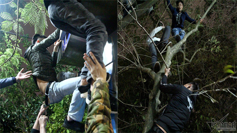 Vắt vẻo trên cây, leo nóc nhà vệ sinh đón giao thừa