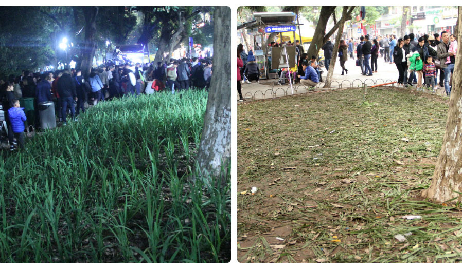 san phẳng bồn hoa