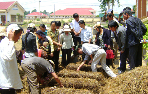 2018, dạy nghề 207.175 lao động nông thôn
