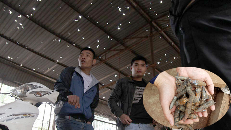 Nổ lớn ở Bắc Ninh: Đạn bay khắp làng, tường nhà lỗ chỗ