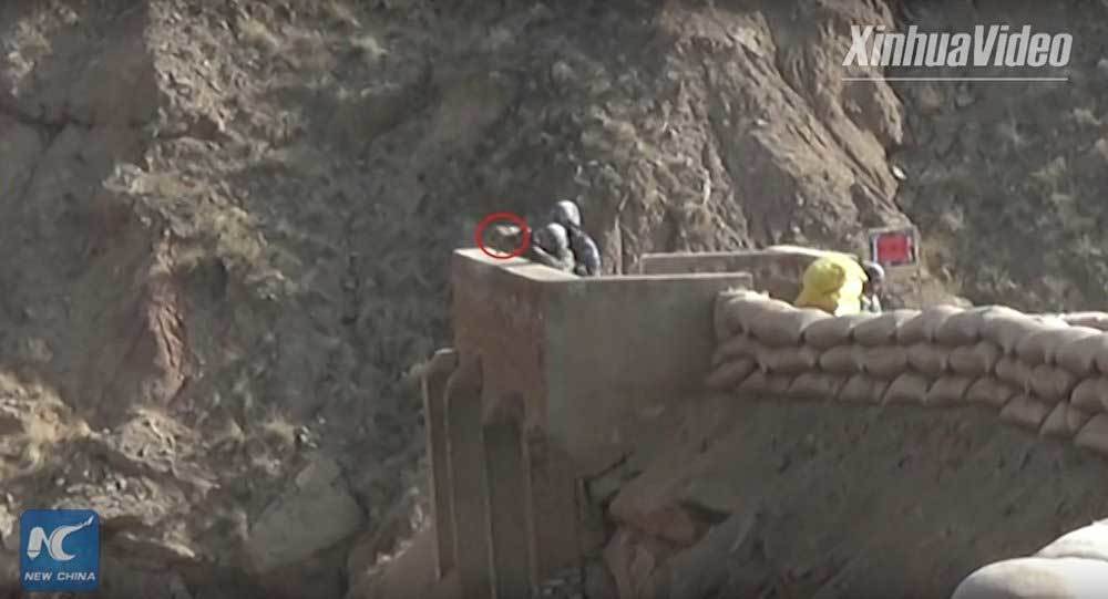 Xem tân binh TQ suýt chết vì rơi lựu đạn