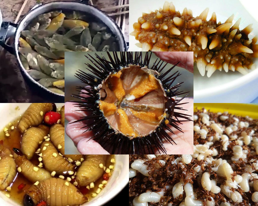 5 đặc sản sống vừa ăn vừa rùng mình của người Việt