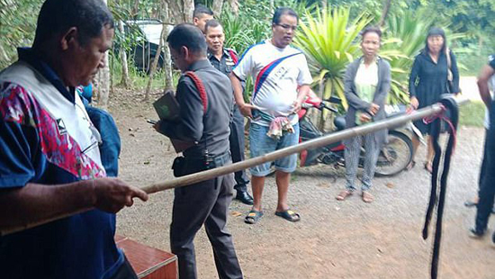 Rắn hổ mang đột nhập vào nhà cắn bé gái tử vong