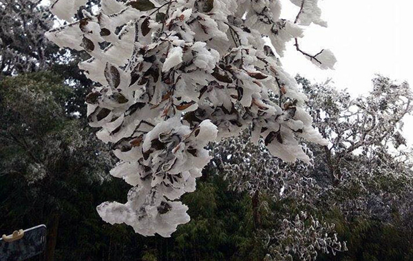 Dự báo thời tiết 8/1: Núi cao có băng giá, rét đậm cả tuần