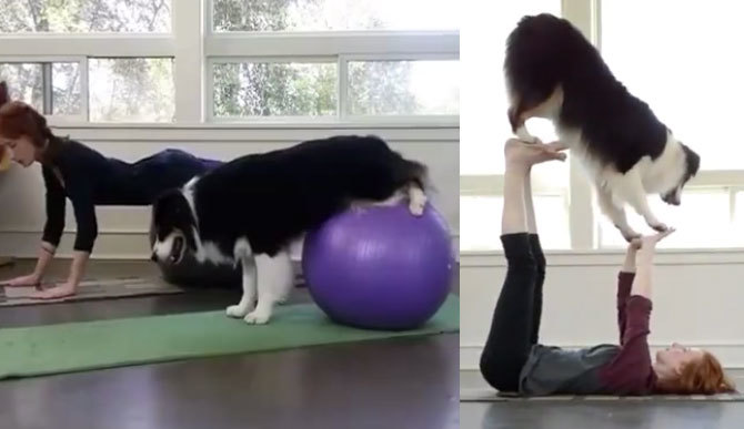 Trợ thủ đắc lực trên hành trình giảm cân