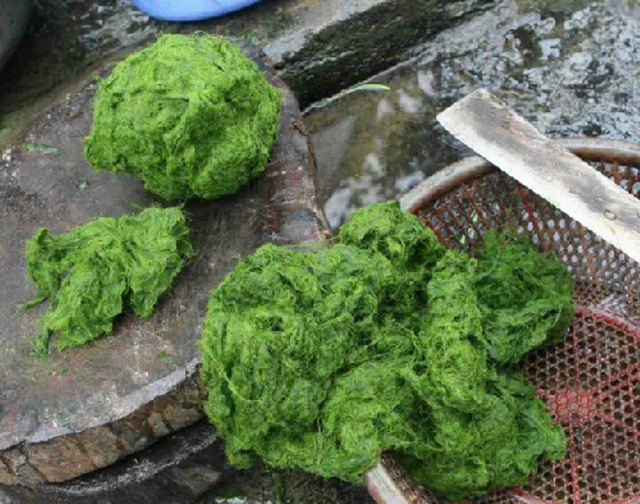 Kỳ lạ những đặc sản có công dụng 'trường thọ' ở Việt Nam