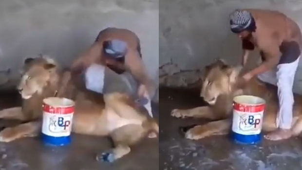 Đây là nghề lương cực cao, nhưng hiếm người dám làm