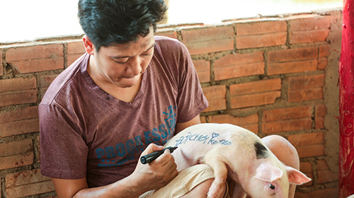 Trailer phim Siêu sai siêu ngố