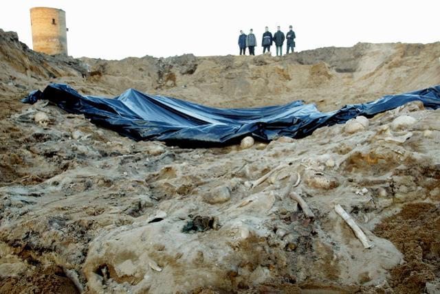 Phát hiện Napoleon thua trận ở Nga vì lý do không ngờ