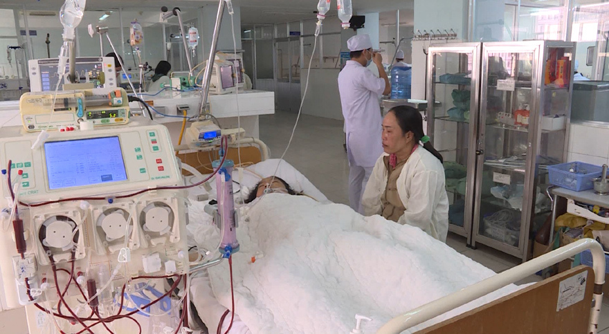 Thiếu nữ suy đa phủ tạng nghi do uống trà sữa