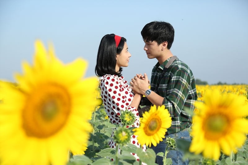 tình khúc bạch dương