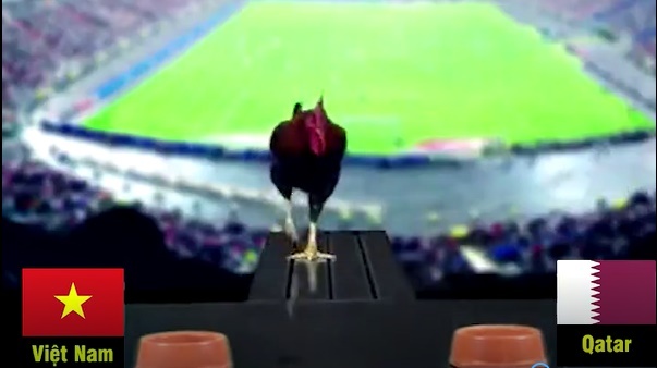 Xem thần kê dự đoán trận U23 Việt Nam vs U23 Qatar