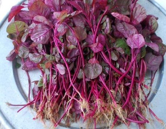 Rau răm, mồng tơi, rau dền Việt Nam bỗng 'đắt như vàng' trên chợ Amazon