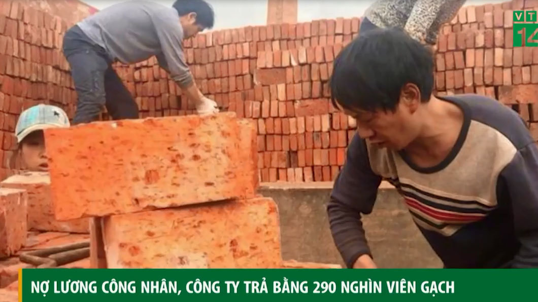 Nợ lương công nhân, công ty trả bằng 290.000 viên gạch
