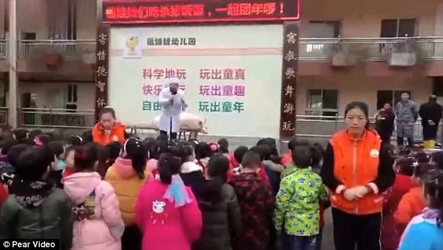 Mổ lợn trước mặt học sinh để... thấy không khí Tết