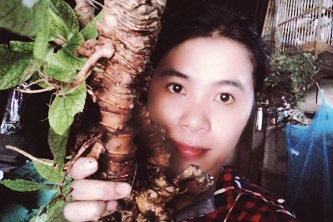 Cô gái bị 'ám' bởi sâm Ngọc Linh