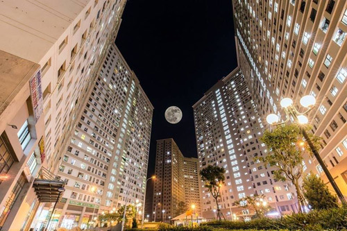 Xuân Mai Complex rộn ràng Lễ hội đón Xuân