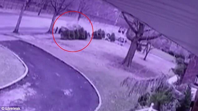 Xem xế hộp lao vào cây, vỡ làm đôi