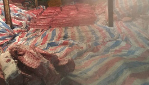 Tiêu hủy 4 tấn thịt heo phủ bạt trong nhà kho ở Sài Gòn