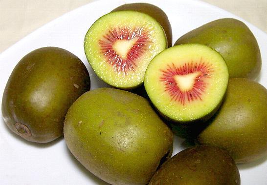 Xôn xao Kiwi cầu vồng: Tết cổ truyền giải ngán kiểu Nhật