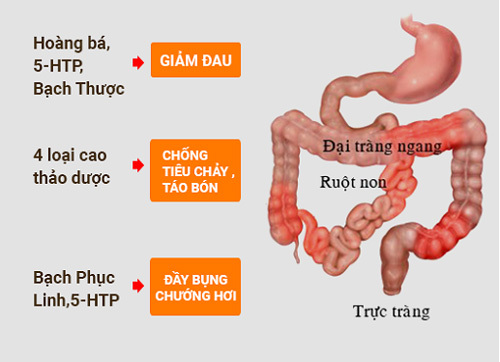 Đau bụng, đi ngoài mỗi khi xem bóng đá?