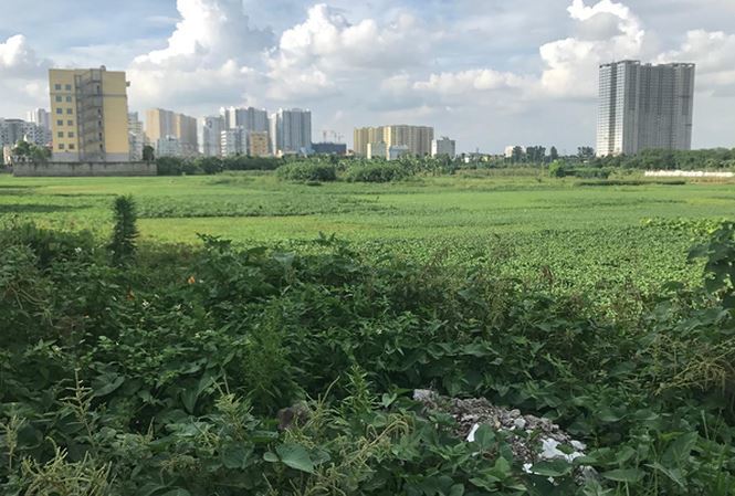Chủ tịch Hà Nội yêu cầu rà soát các dự án ôm đất chậm triển khai